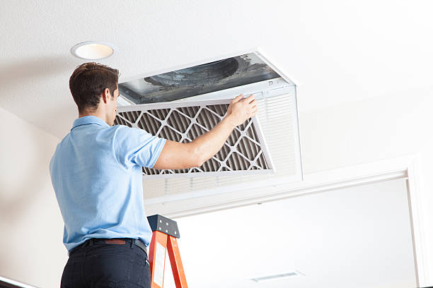 Best Air quality test  in Duluth, WA